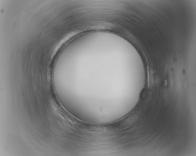 X0000051920435200507152101