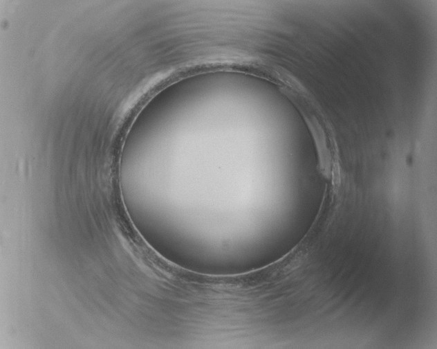 X0000051920436200507152101