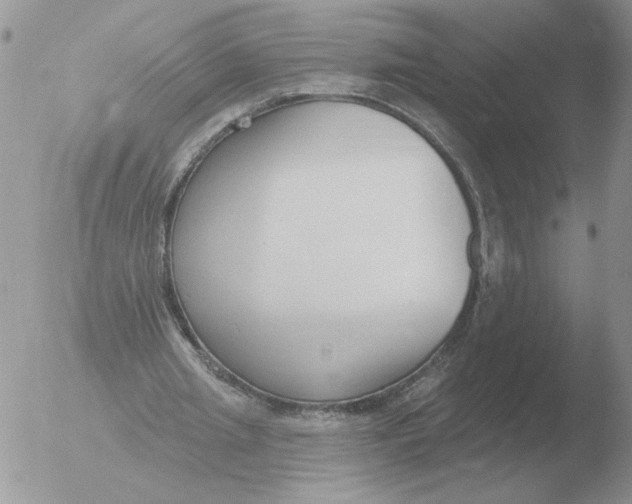 X0000051920437200507152101