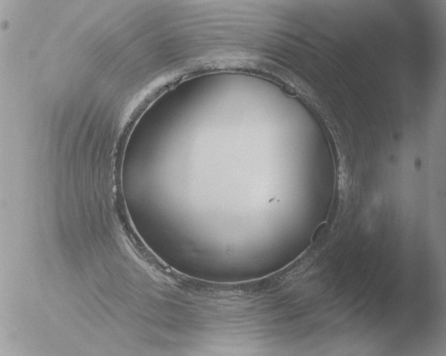 X0000051920438200507152101