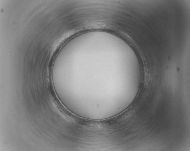 X0000051920439200507152101