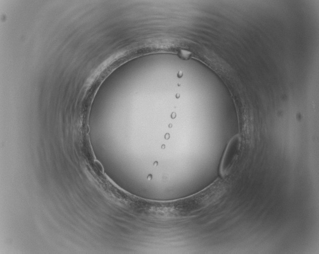 X0000051920440200507152101