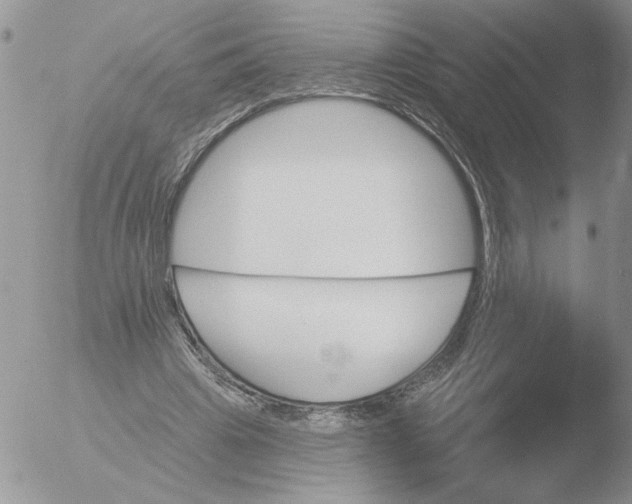 X0000051920441200507152101