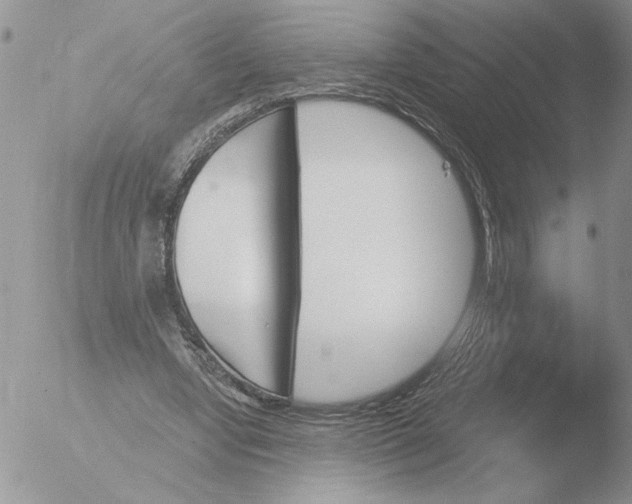 X0000051920442200507152101