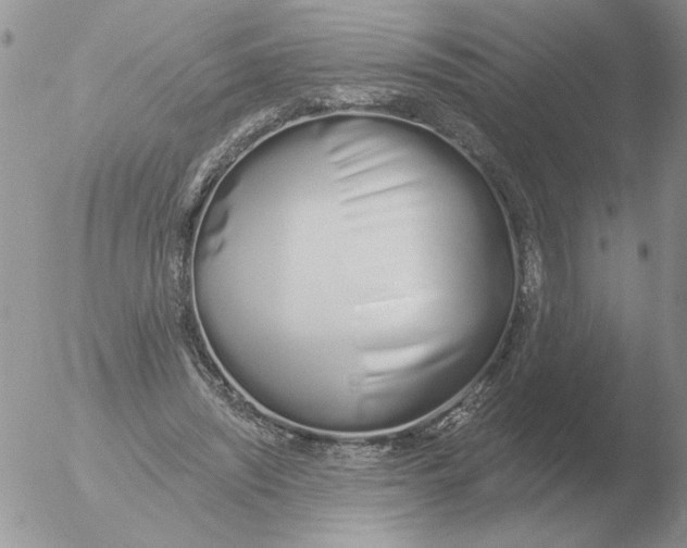 X0000051920444200507152101