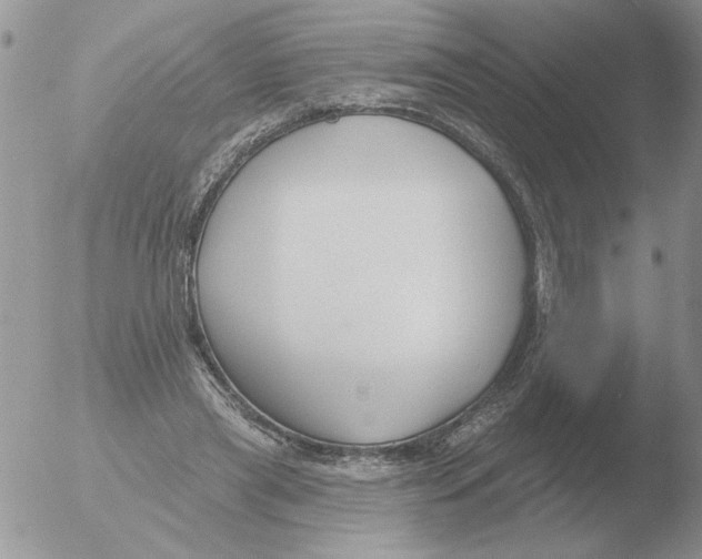 X0000051920445200507152101