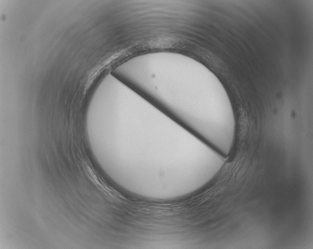 X0000051920446200507152101