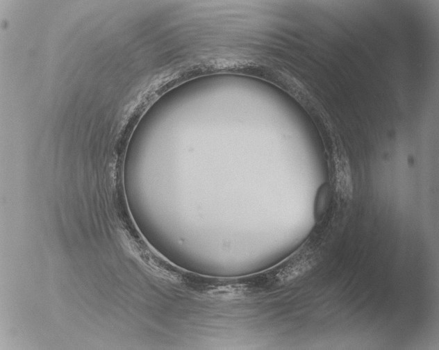 X0000051920447200507152101