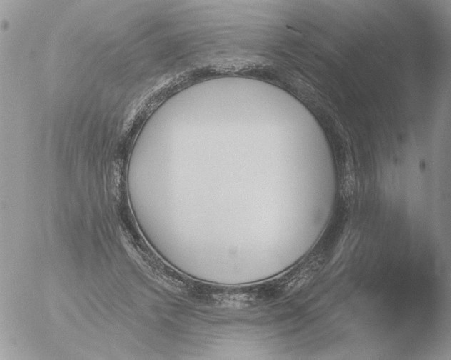 X0000051920448200507152101