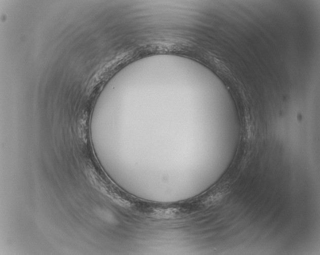 X0000051920450200507152101