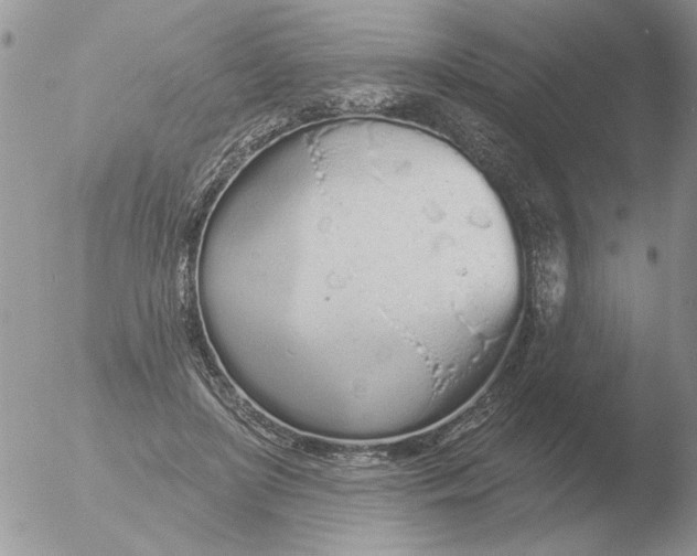 X0000051920451200507152101