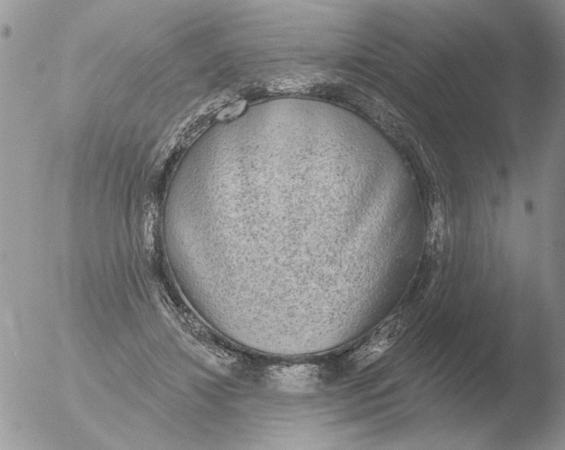 X0000051920452200507152101