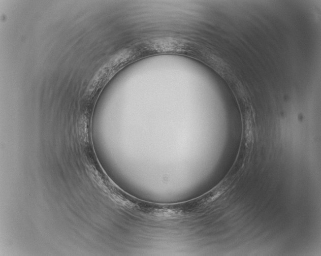 X0000051920453200507152101