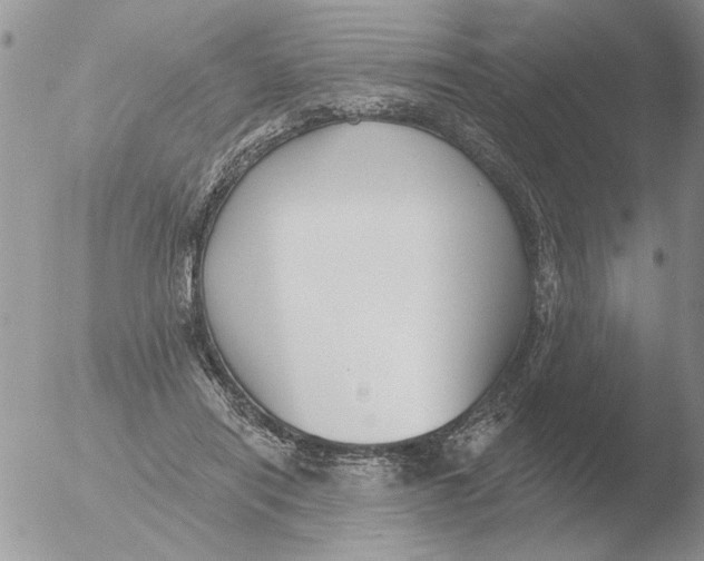 X0000051920454200507152101