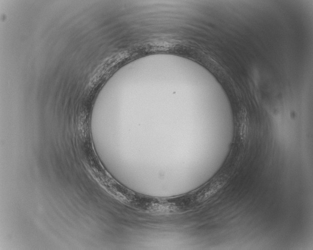 X0000051920455200507152101