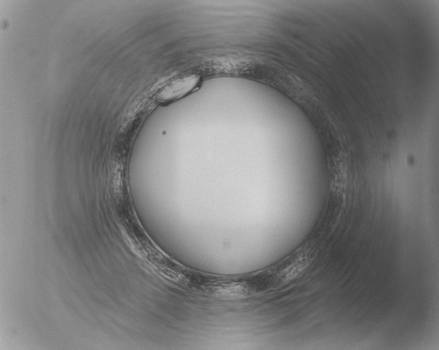 X0000051920456200507152101