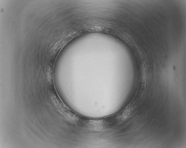 X0000051920457200507152101