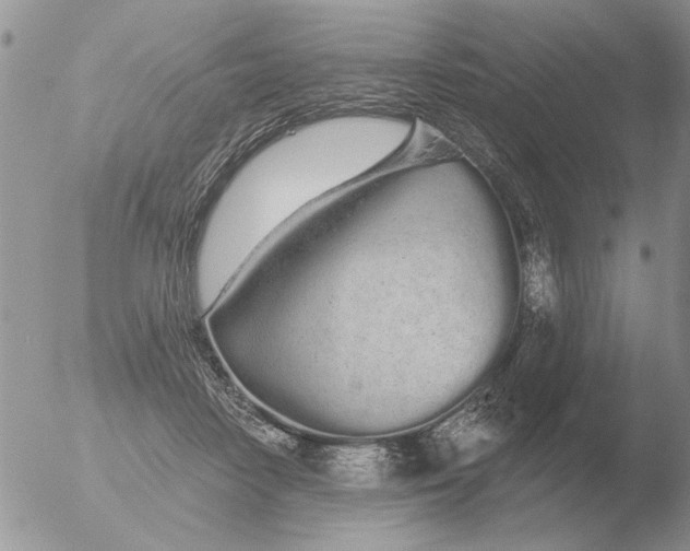 X0000051920458200507152101