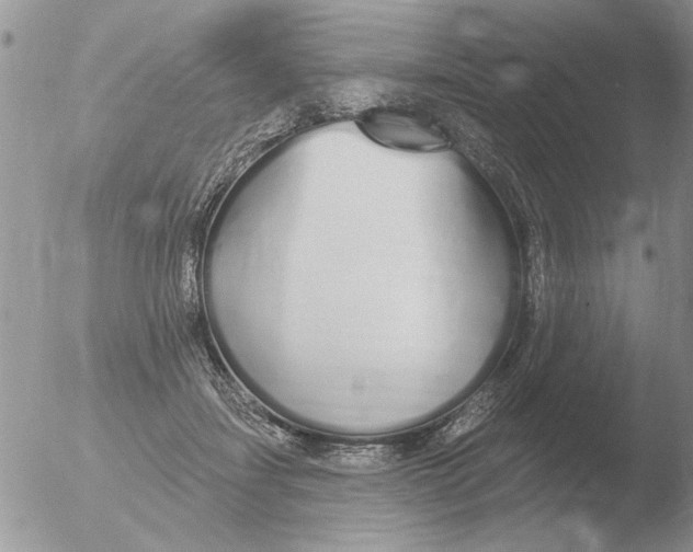 X0000051920459200507152101