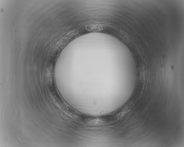 X0000051920460200507152101