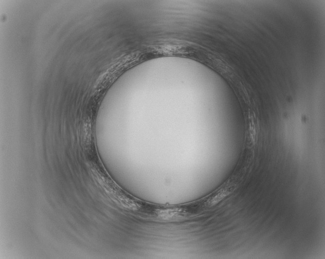 X0000051920461200507152101