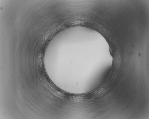 X0000051920462200507152101