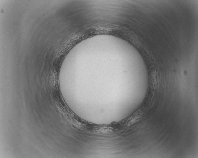 X0000051920463200507152101