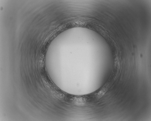 X0000051920464200507152101