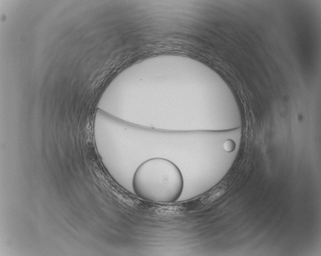 X0000051920465200507152101