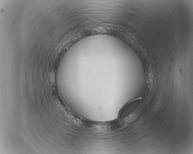 X0000051920466200507152101