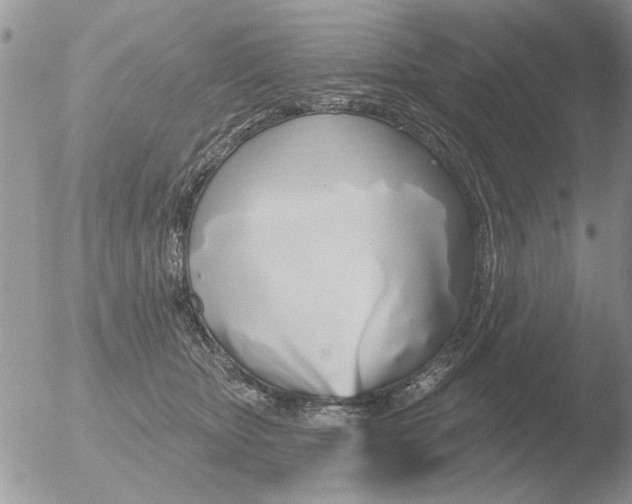 X0000051920467200507152101