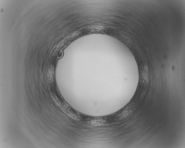 X0000051920468200507152101