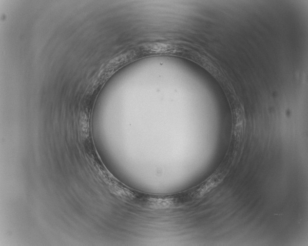 X0000051920469200507152101