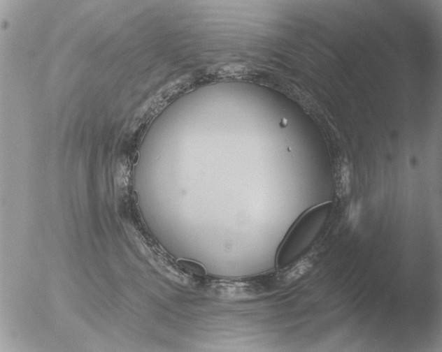 X0000051920472200507152101