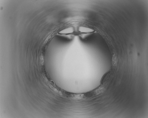 X0000051920474200507152101