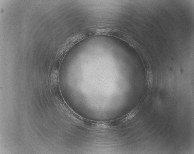 X0000051920475200507152101