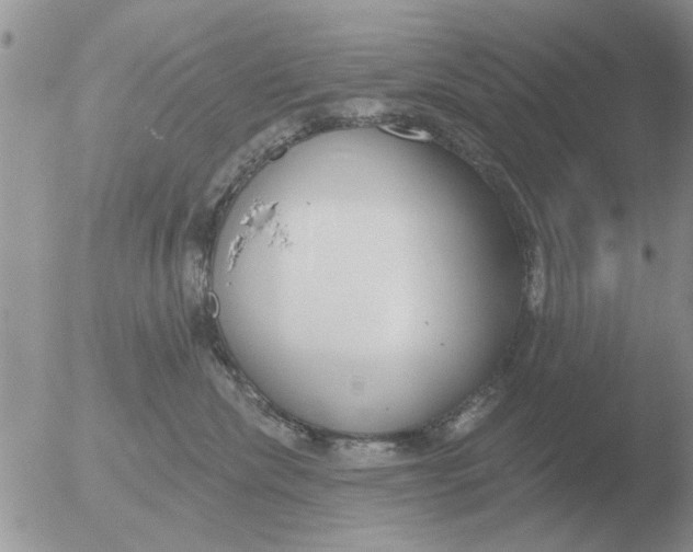 X0000051920476200507152101