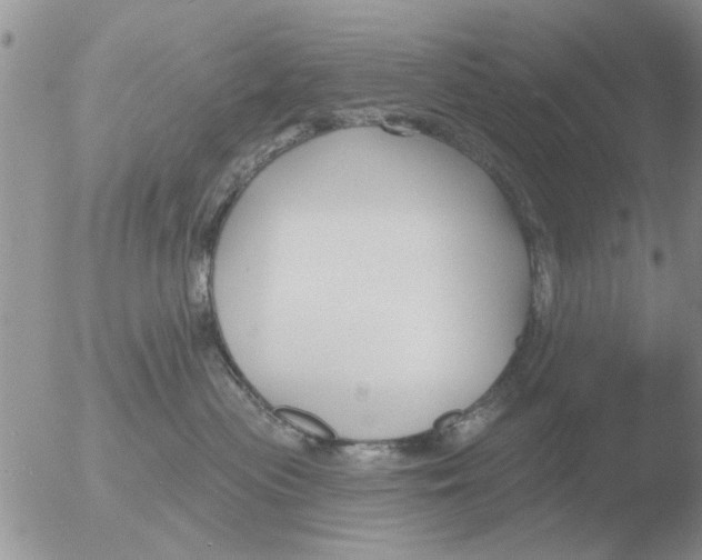 X0000051920477200507152101