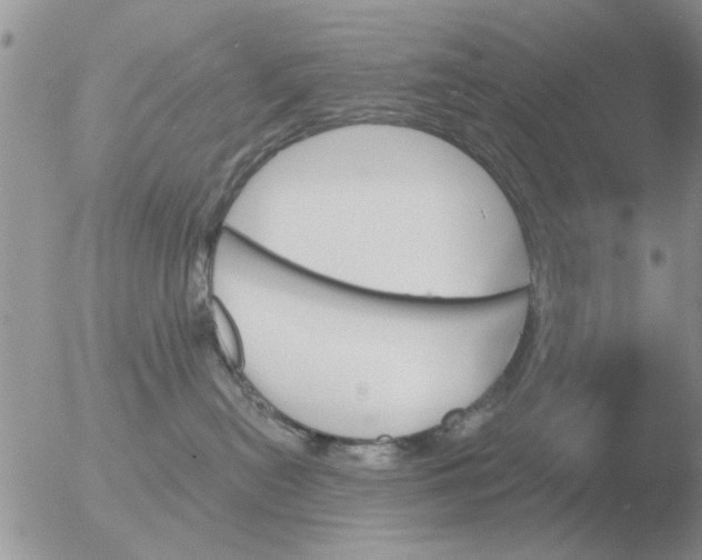 X0000051920478200507152101