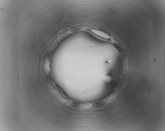 X0000051920479200507152101