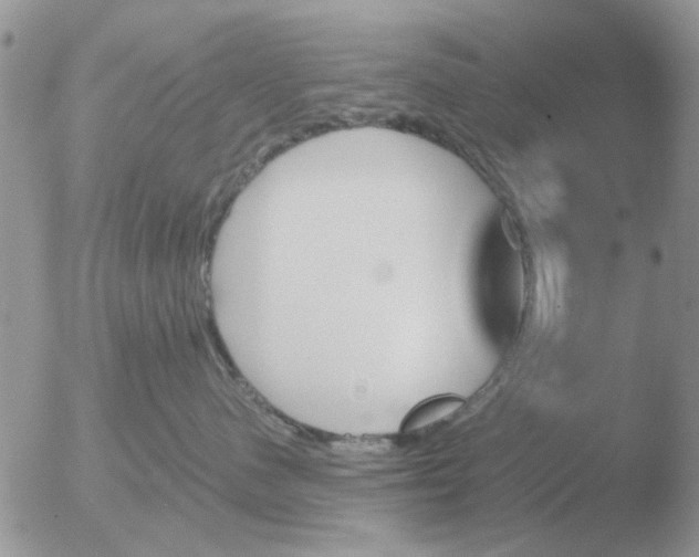 X0000051920480200507152101