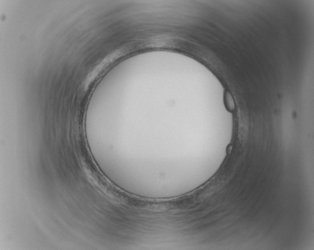 X0000051920482200507152101