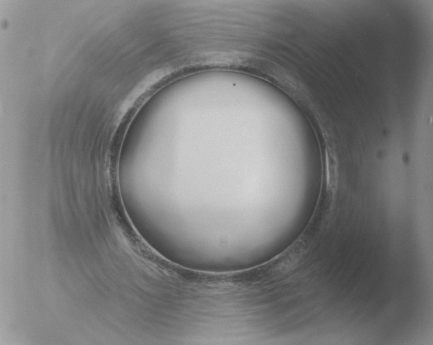 X0000051920483200507152101