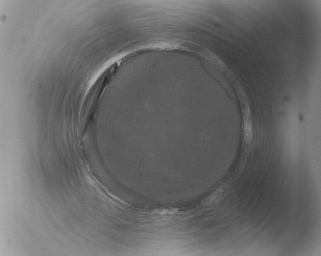 X0000051920484200507152101