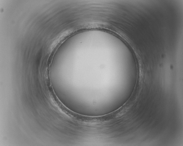 X0000051920485200507152101