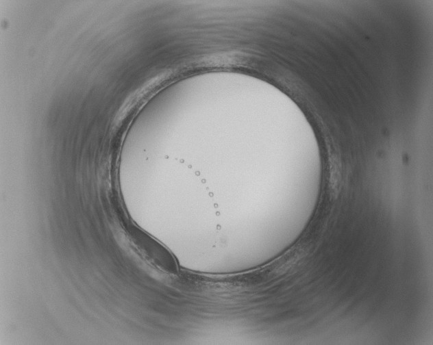 X0000051920486200507152101