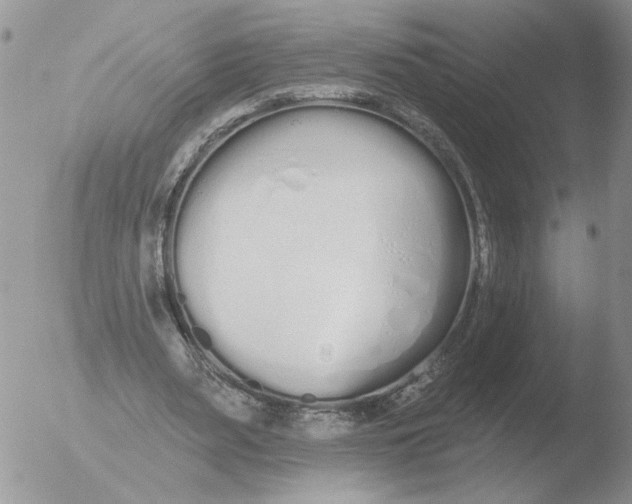 X0000051920487200507152101