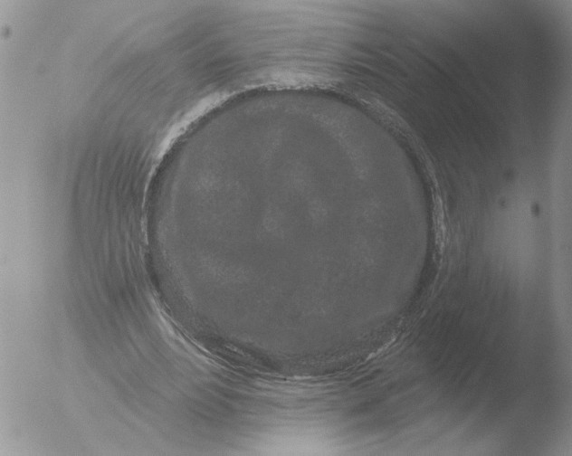 X0000051920488200507152101