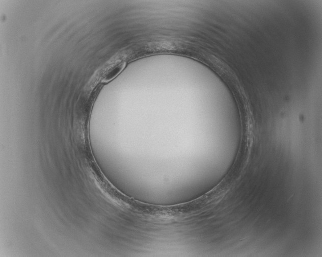 X0000051920489200507152100