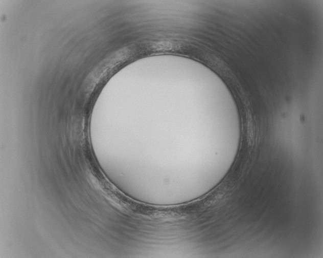 X0000051920490200507152100